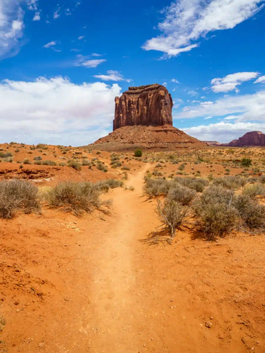 Wildcat Nature Trail 