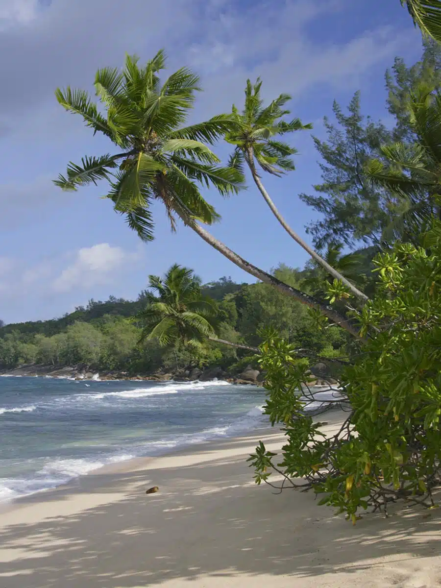 Anse Takamaka, Mahe, Seychelles 