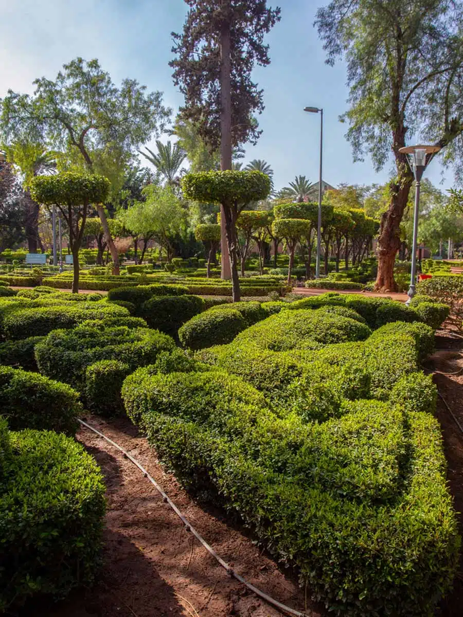 Arsat Moulay Abdel Salam, Cyber Park Marrakesh, Morocco