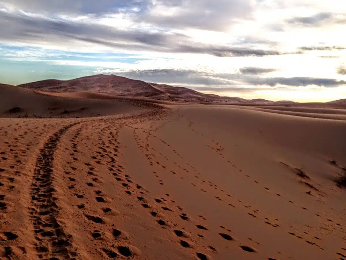 Camel Riding in the Sahara