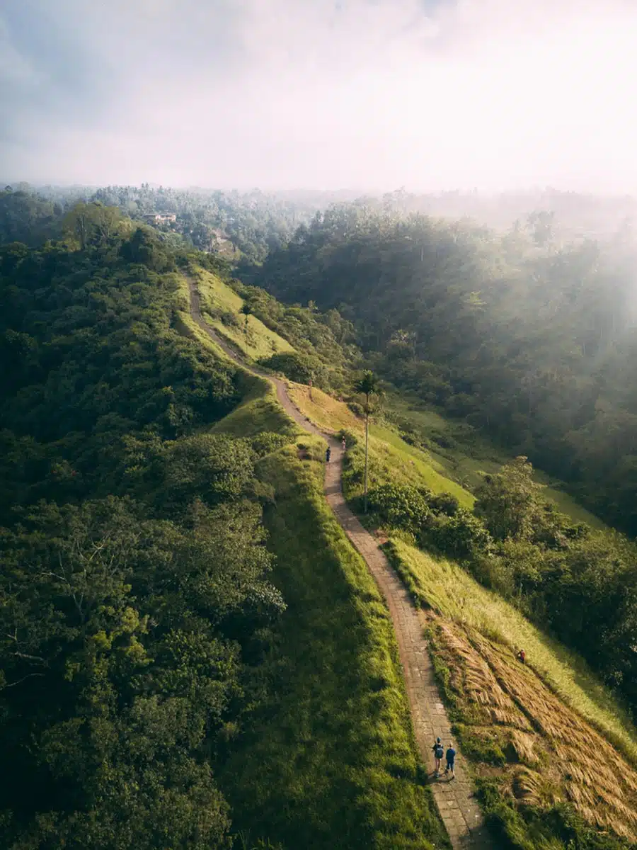 Campuhan Ridge Walk in Ubud, Bali