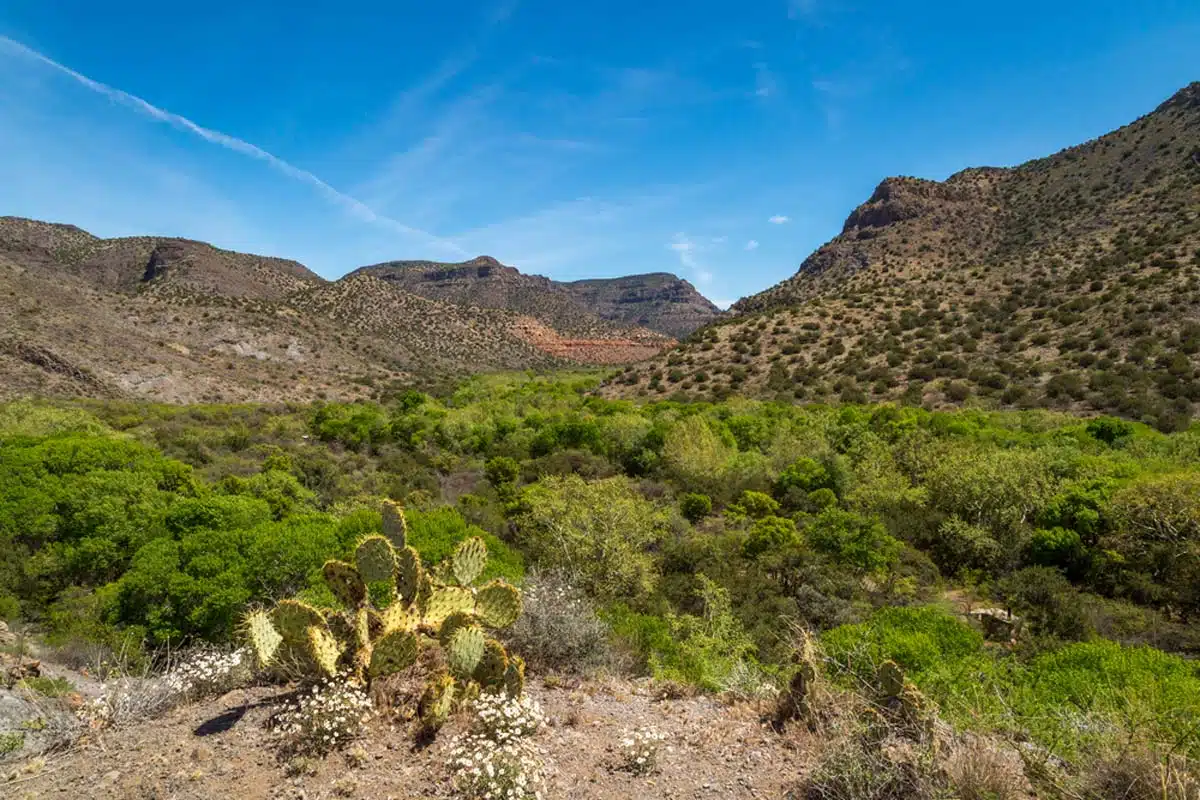 Clear Creek Campground 