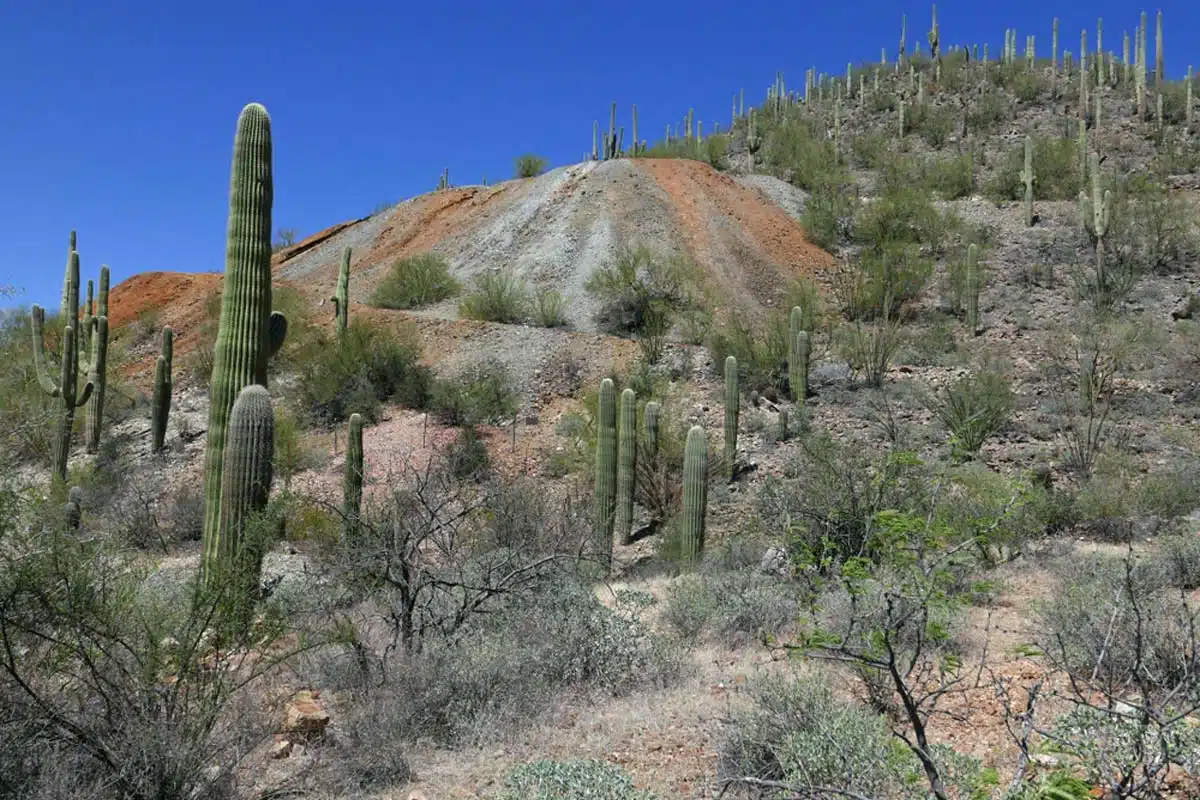 Gould Mine