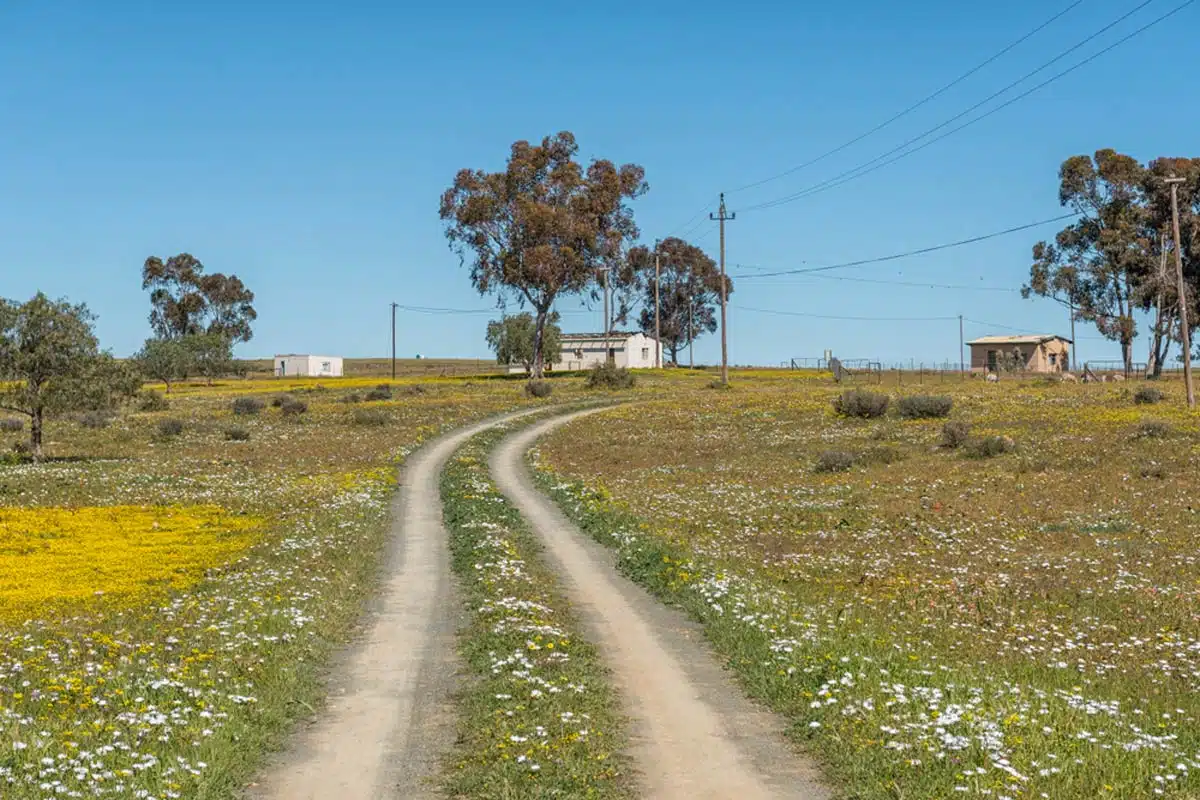 Hantam National Botanical Garden South Africa