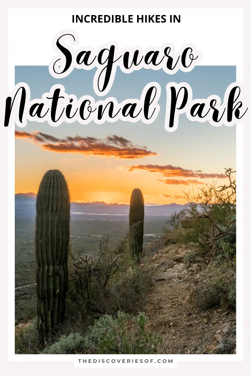 Hikes in Saguaro National Park