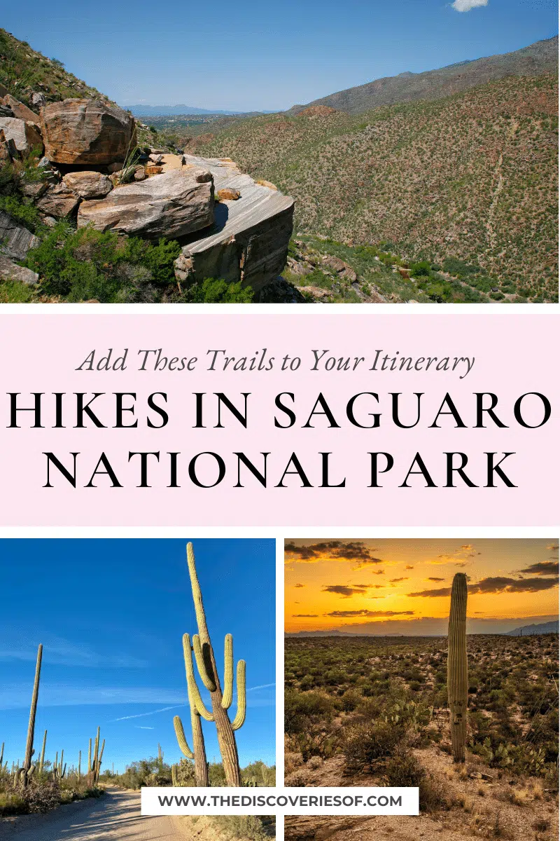 Hikes in Saguaro National Park