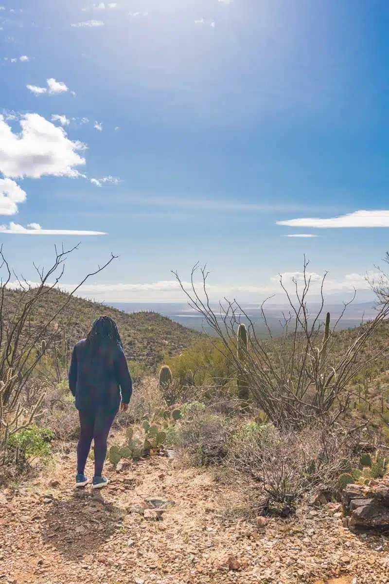 Julianna Barnaby Saguaro National Park Tucson