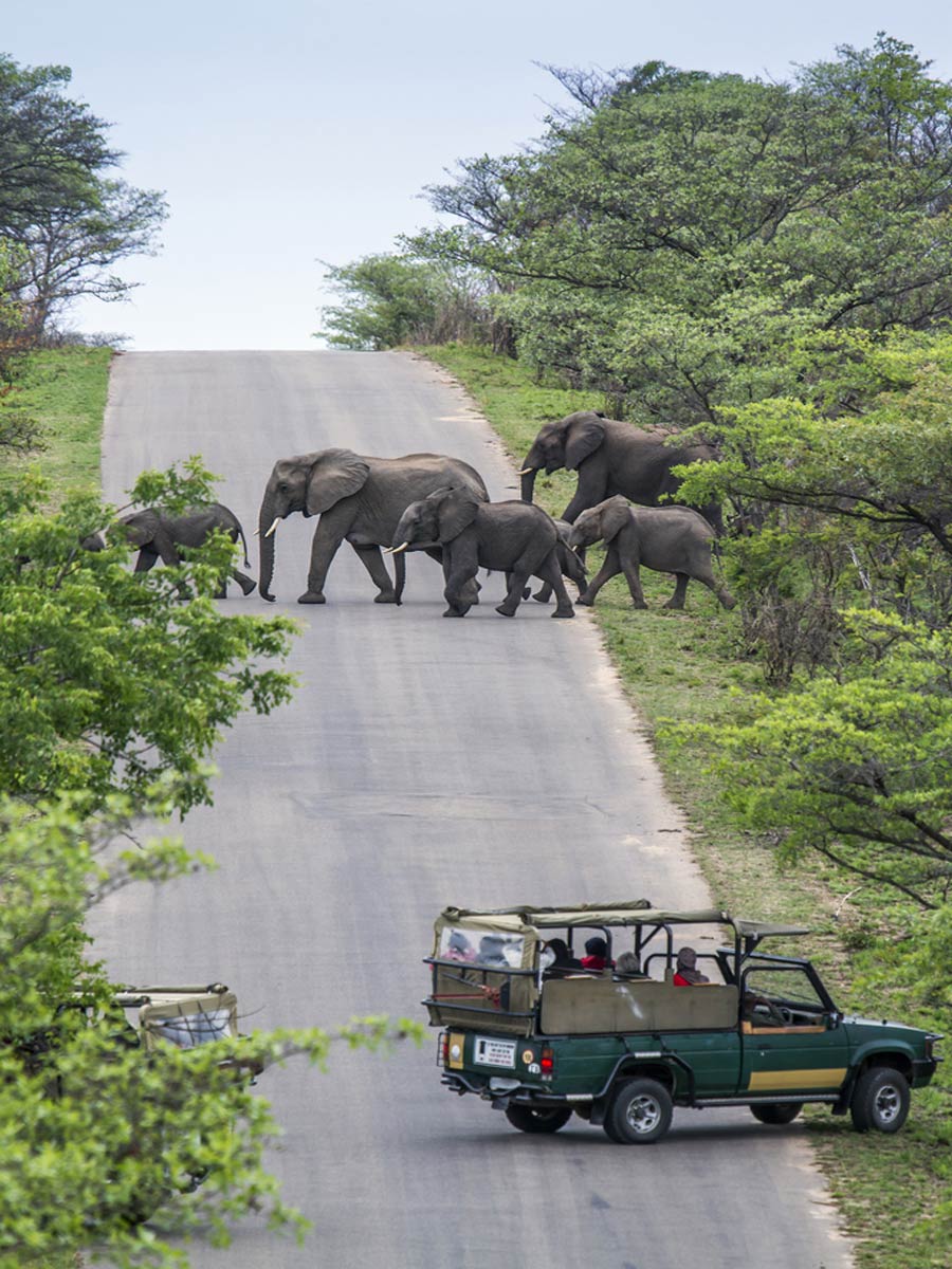 Kruger National Park South Africa