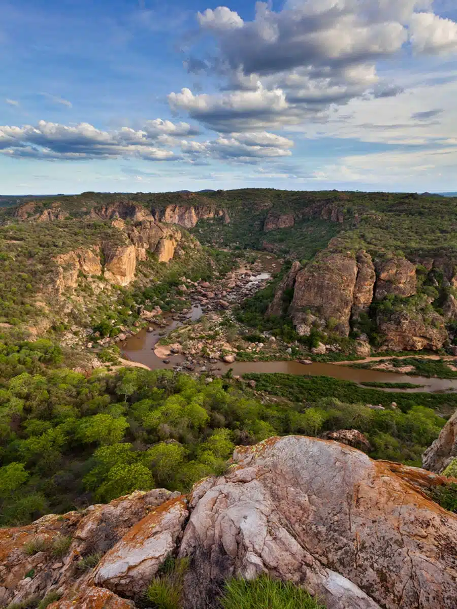 Kruger National Park South Africa