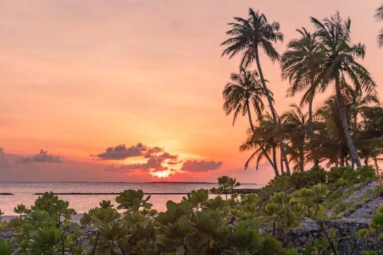 When’s the Best Time to Visit the Maldives?