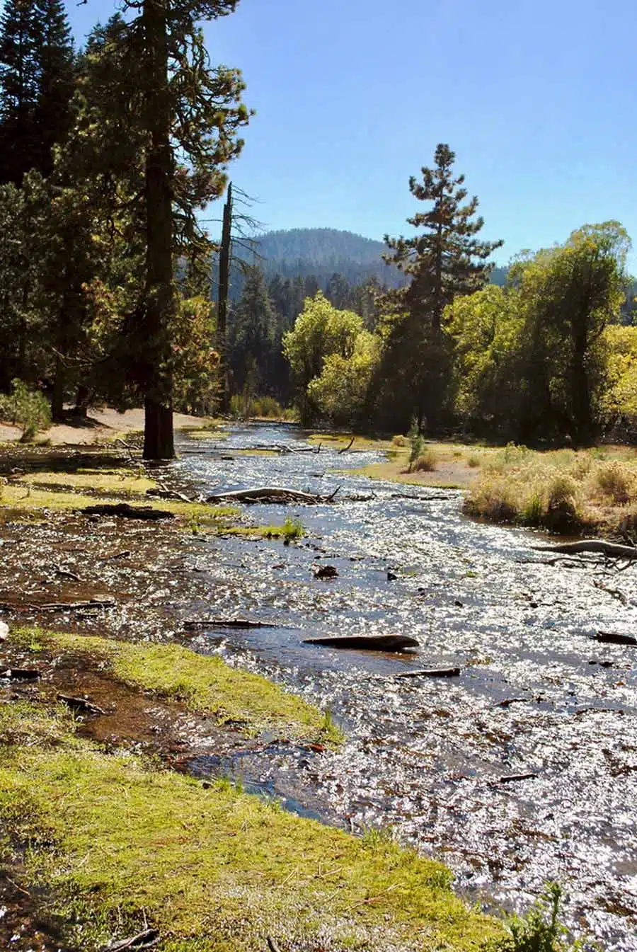 Manzanita Campground 