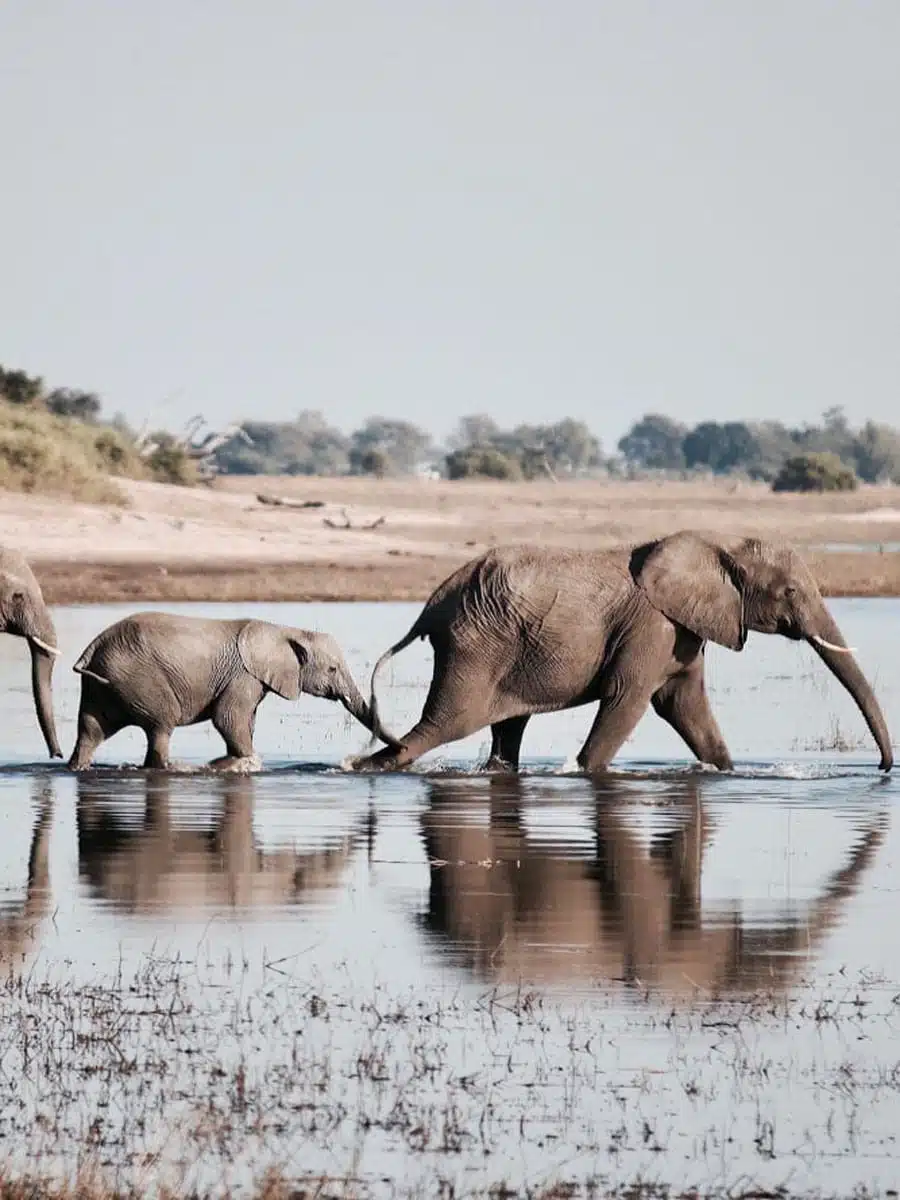 Okavango Delta