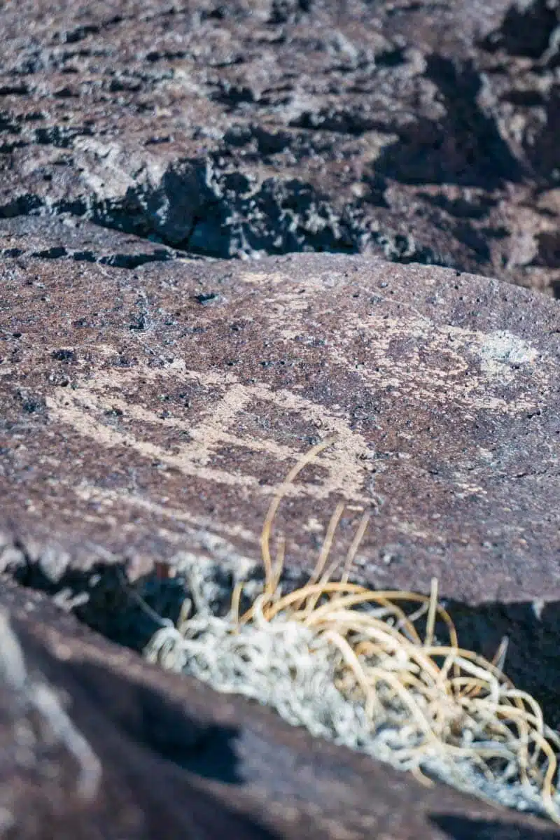 Petroglyph National Monument Albuquerque