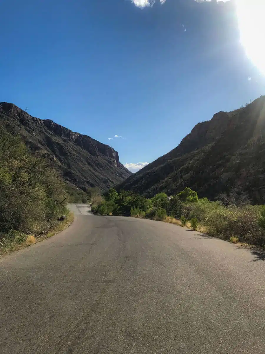 Sabino Canyon in Tucson, Arizona