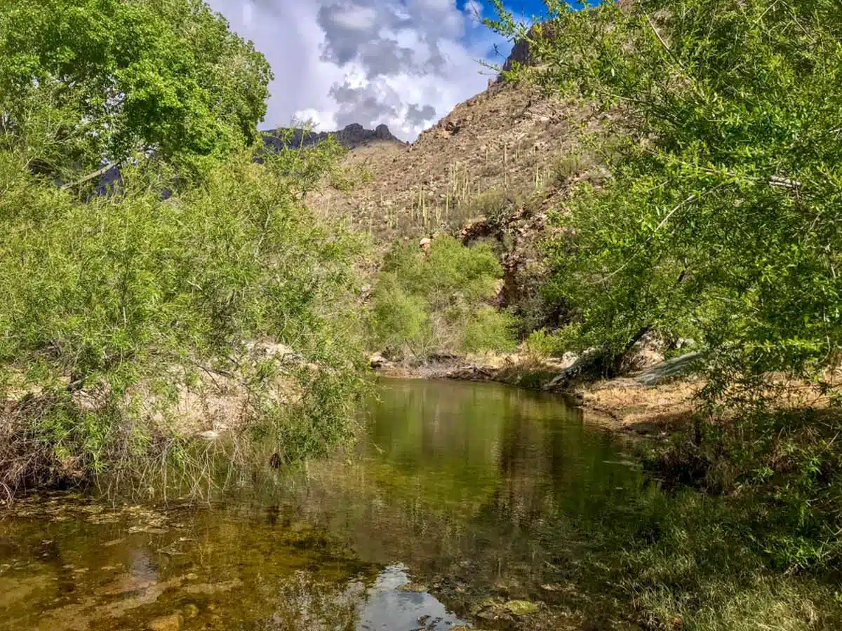 Sabino Canyon in Tucson, Arizona