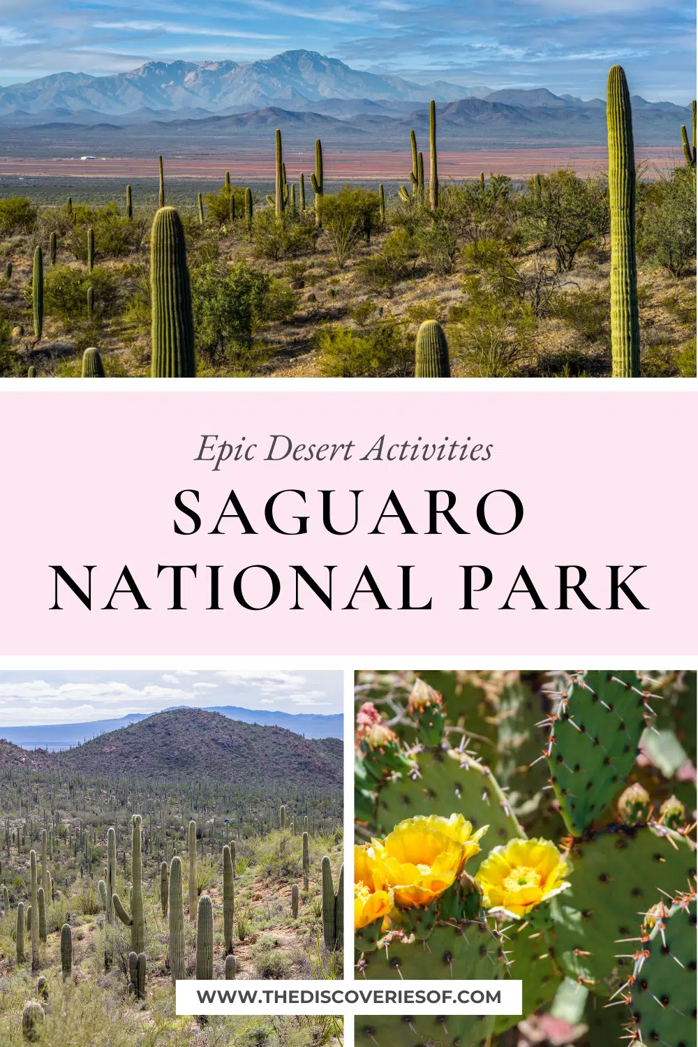 Saguaro National Park