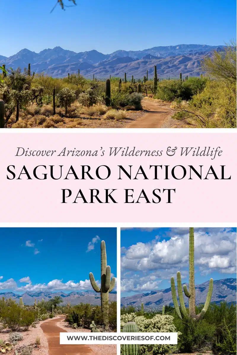 Saguaro National Park East