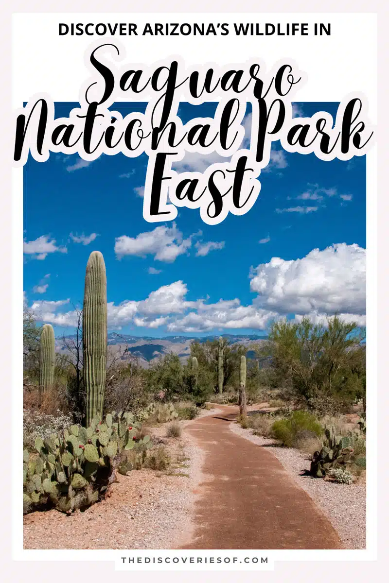 Saguaro National Park East