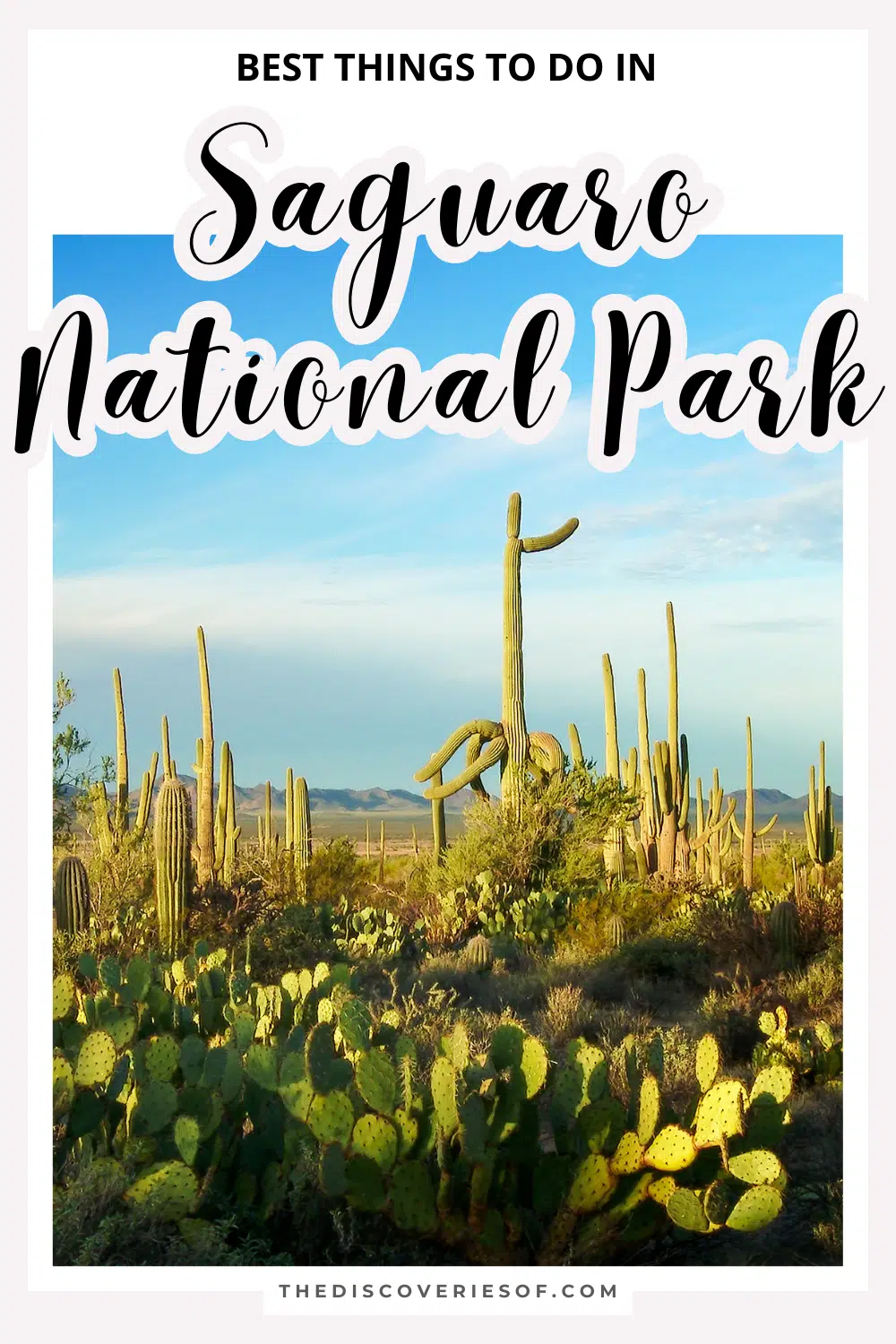 Saguaro National Park