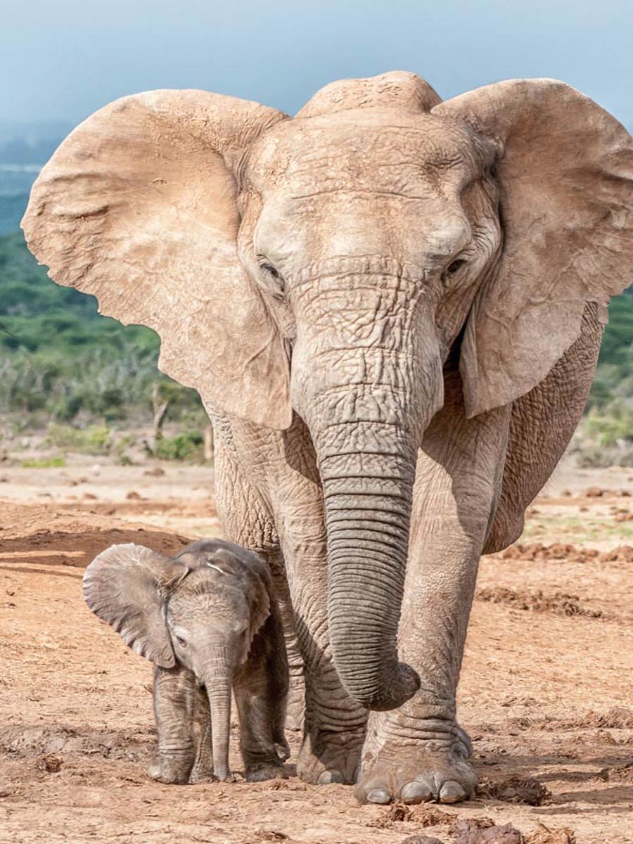 Serengeti National Park