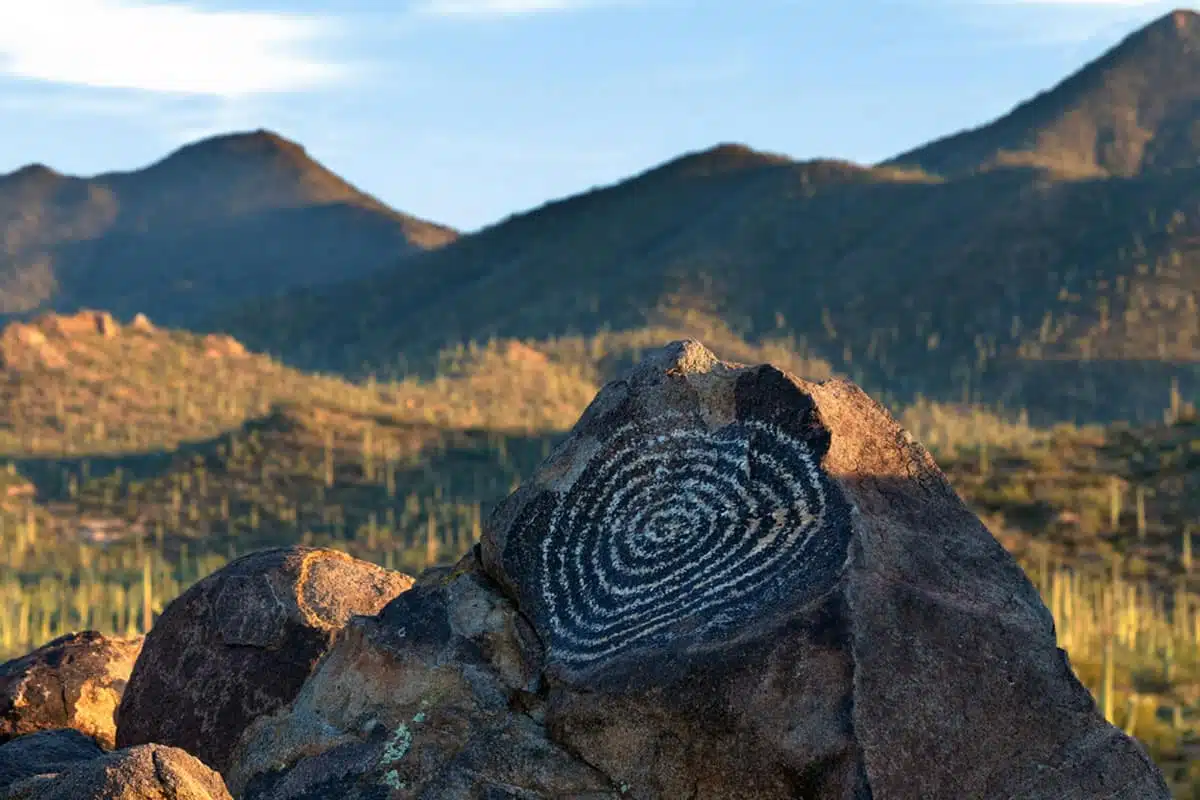 Signal Hill, Saguaro National Park, Arizona