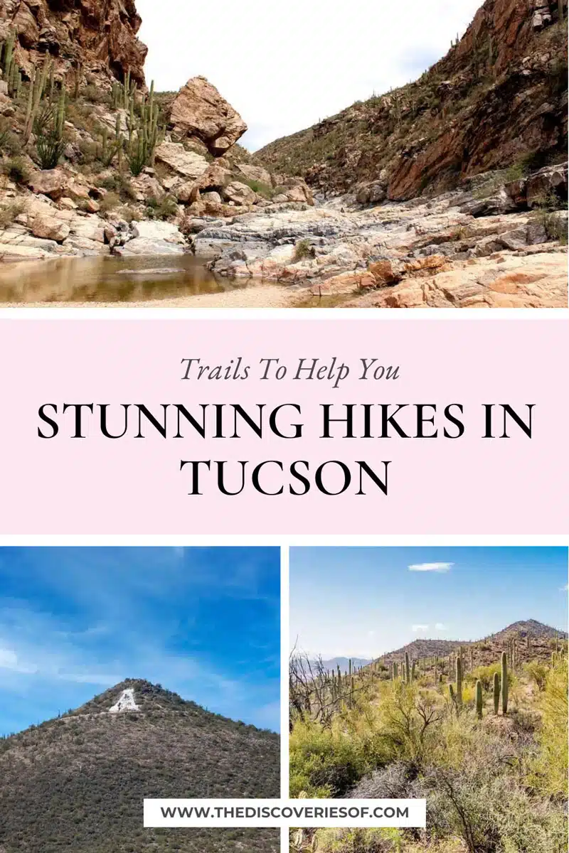 Stunning Hikes in Tucson