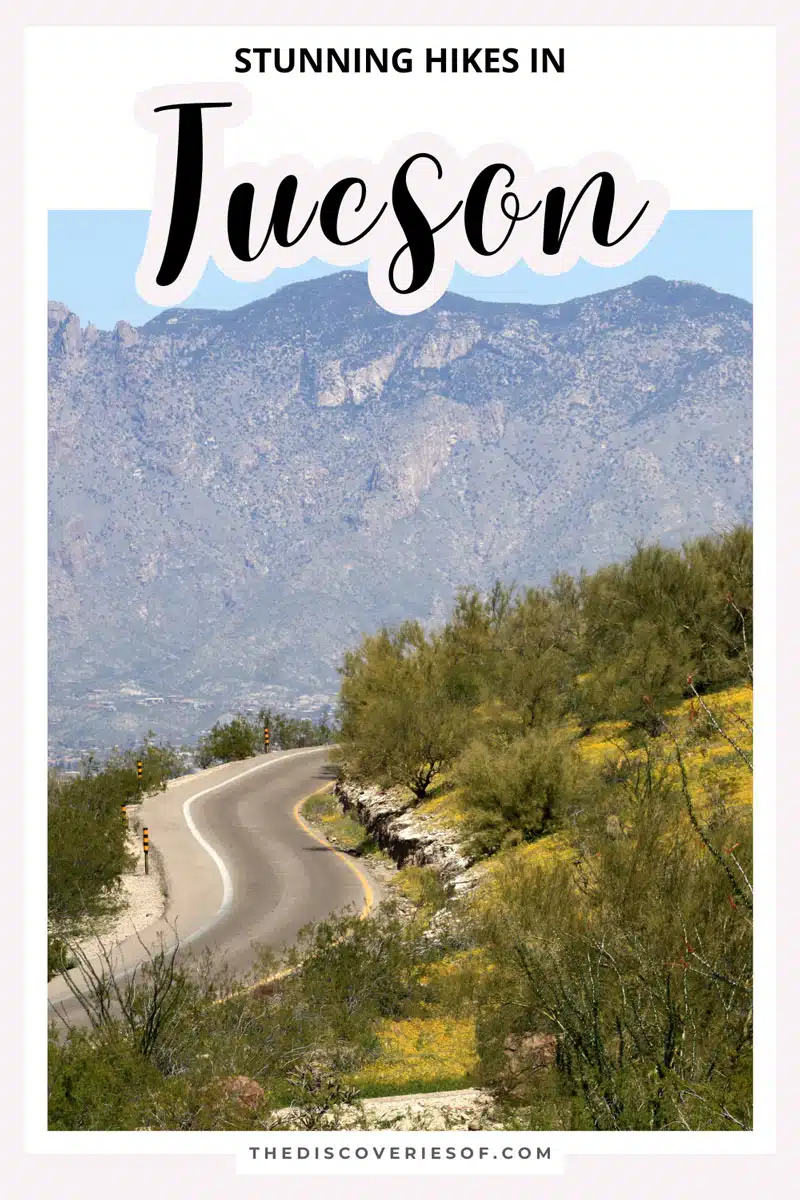 Stunning Hikes in Tucson