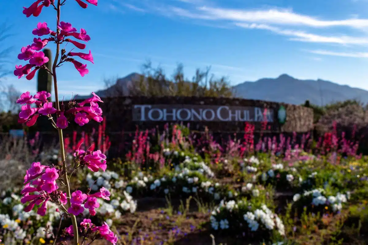 Tohono Chul Gardens