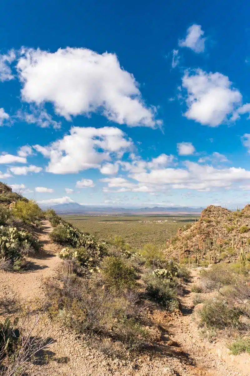 Tucson Mountain Park