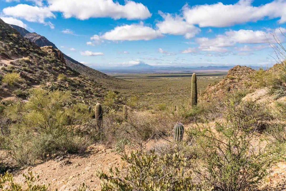 Tucson Mountain Park