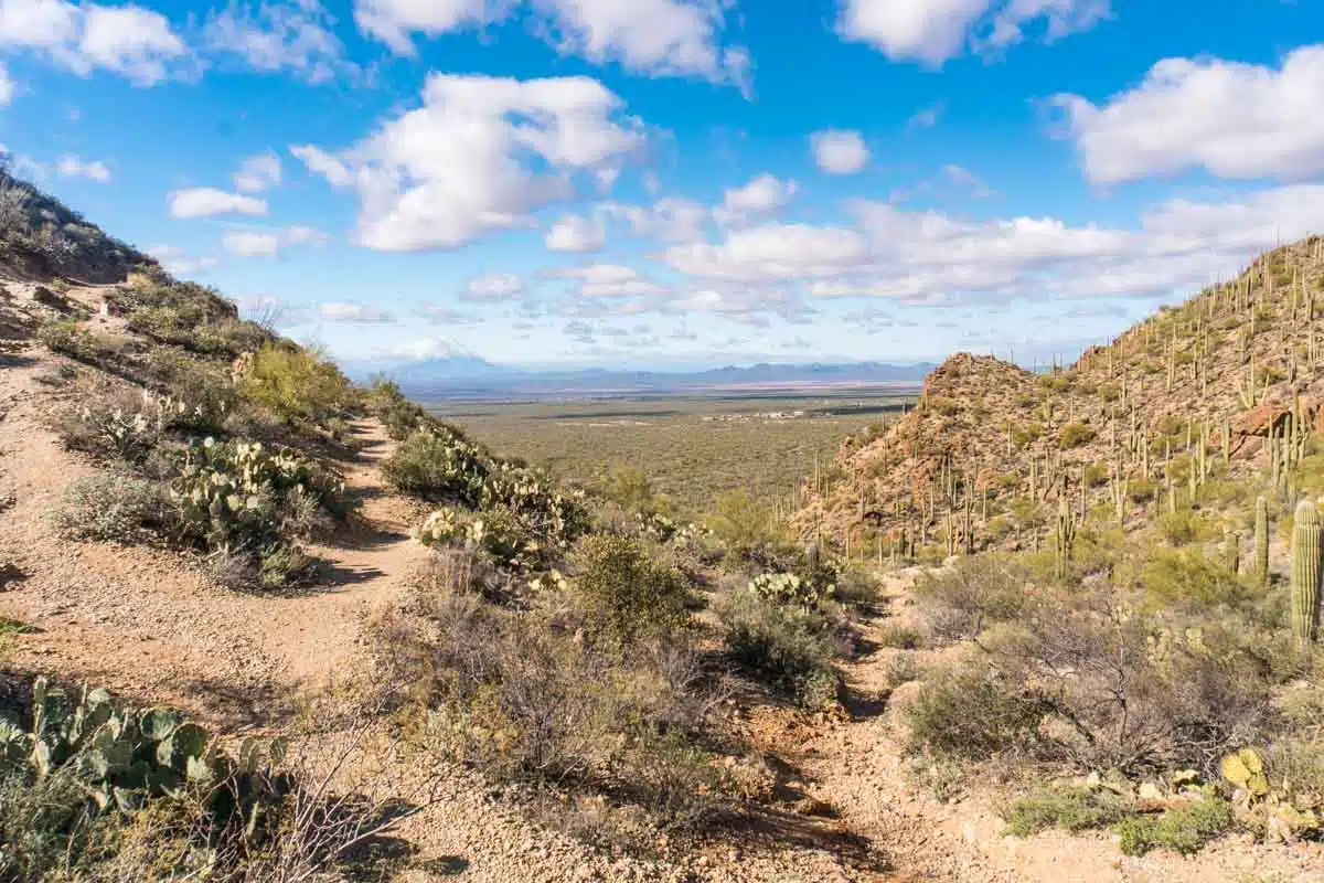 Tucson Mountain Park