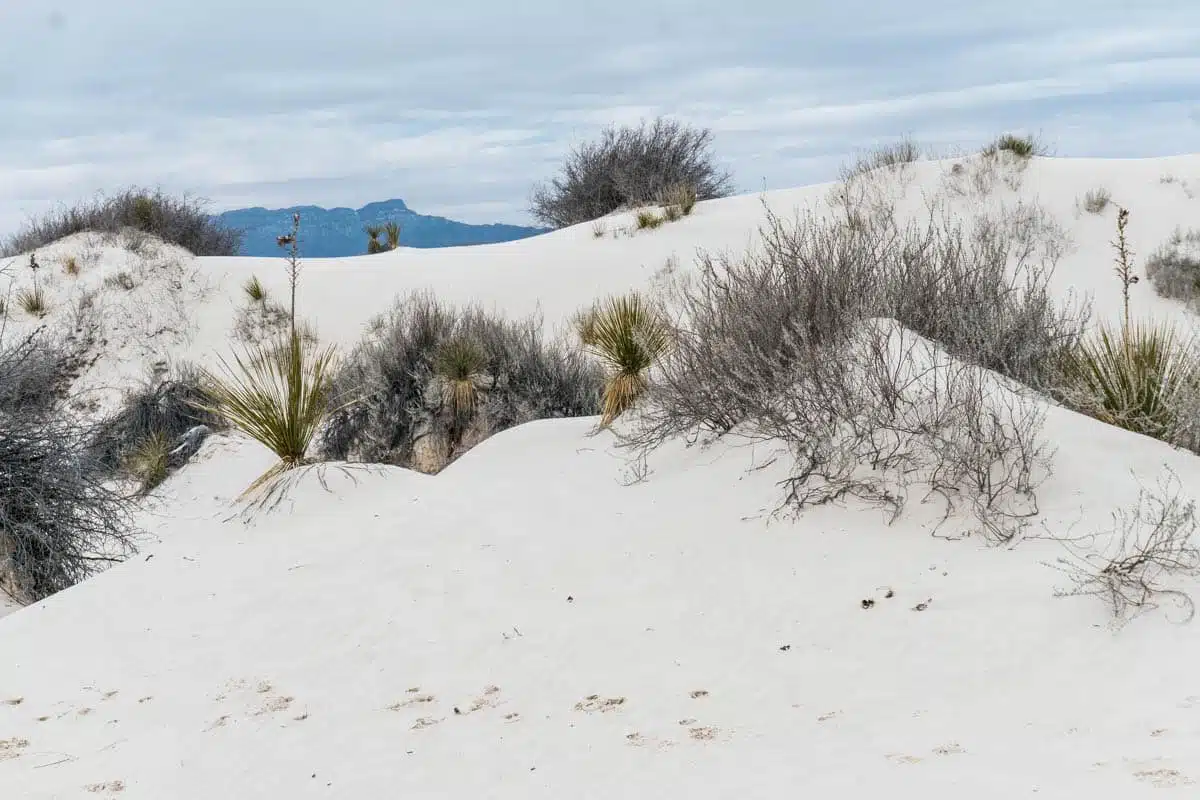 White Sands National Park New Mexico