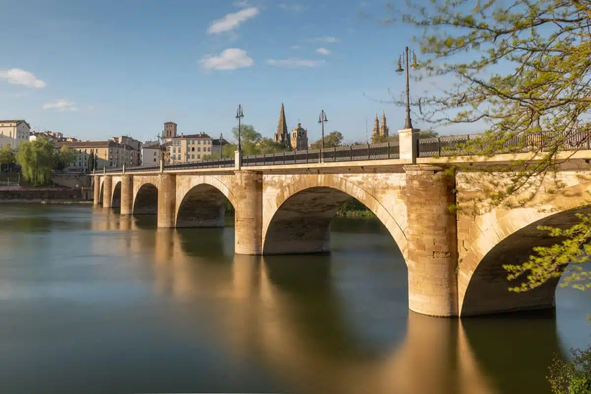 Bridges of Logroño