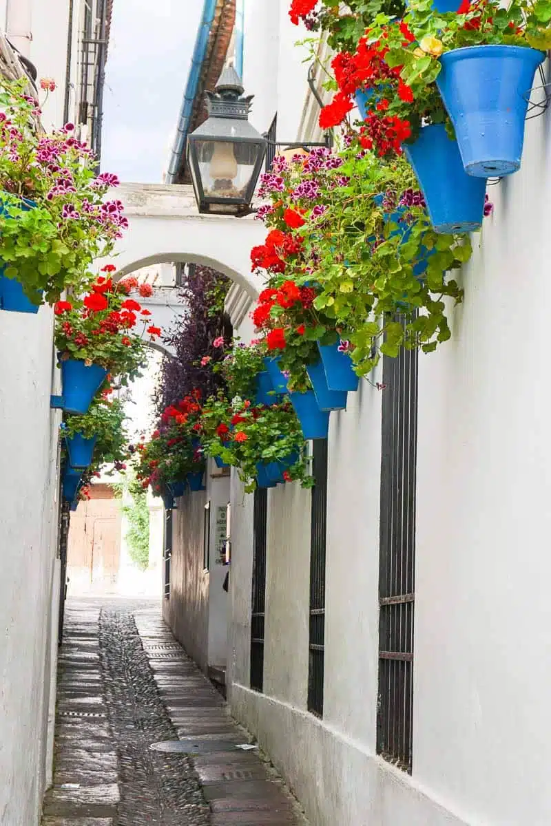  Calleja de las Flores