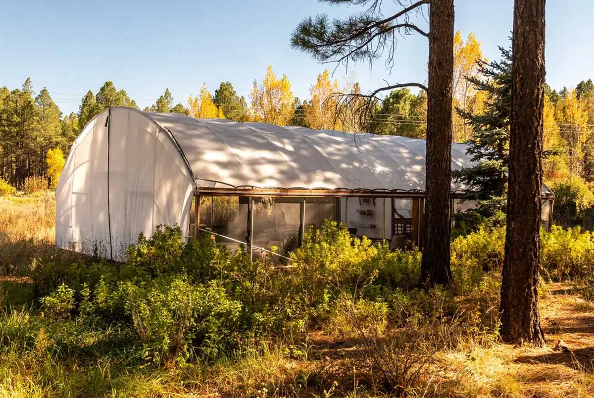 Flagstaff Arboretum in Arizona