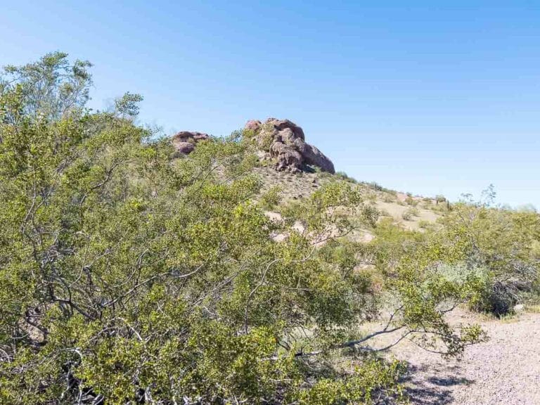 Stunning Hikes in Phoenix: Trails to Help You Discover the Valley of the Sun