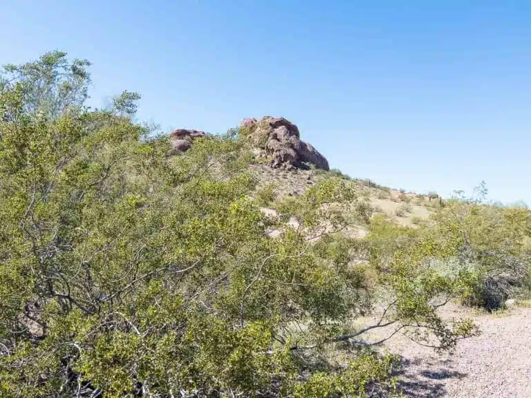 Stunning Hikes in Phoenix: Trails to Help You Discover the Valley of the Sun