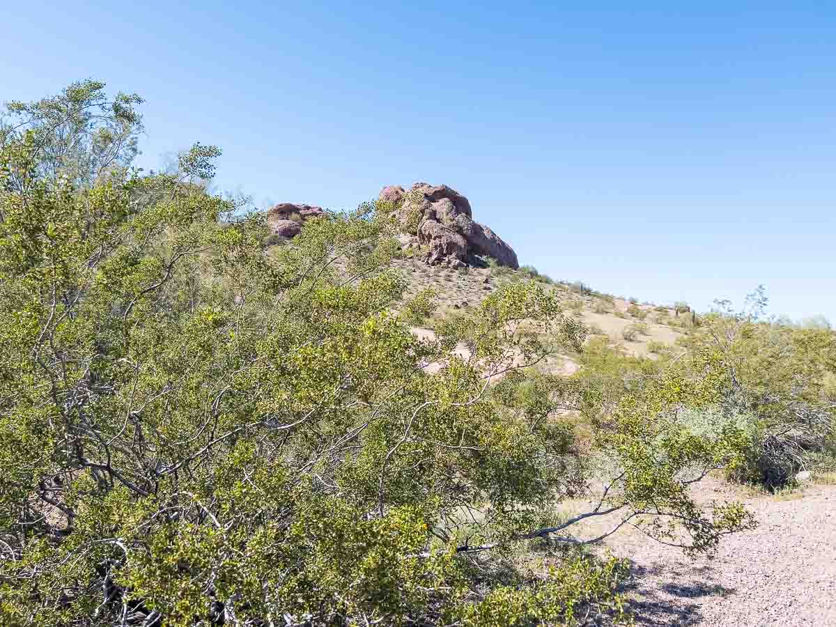 Red sandstone buttes rising above green desert scrub and a gravel trail in Papago Park, Phoenix