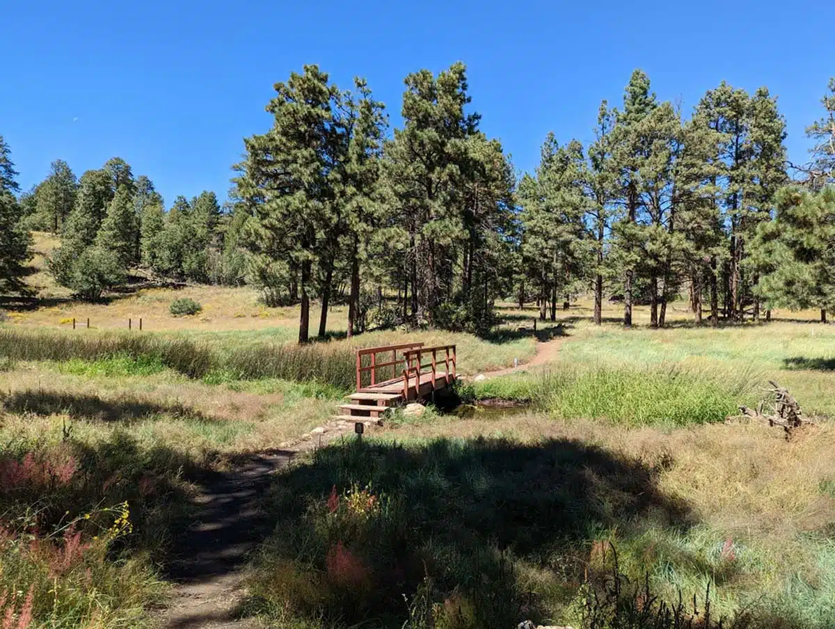 Picture Canyon Natural and Cultural Preserve