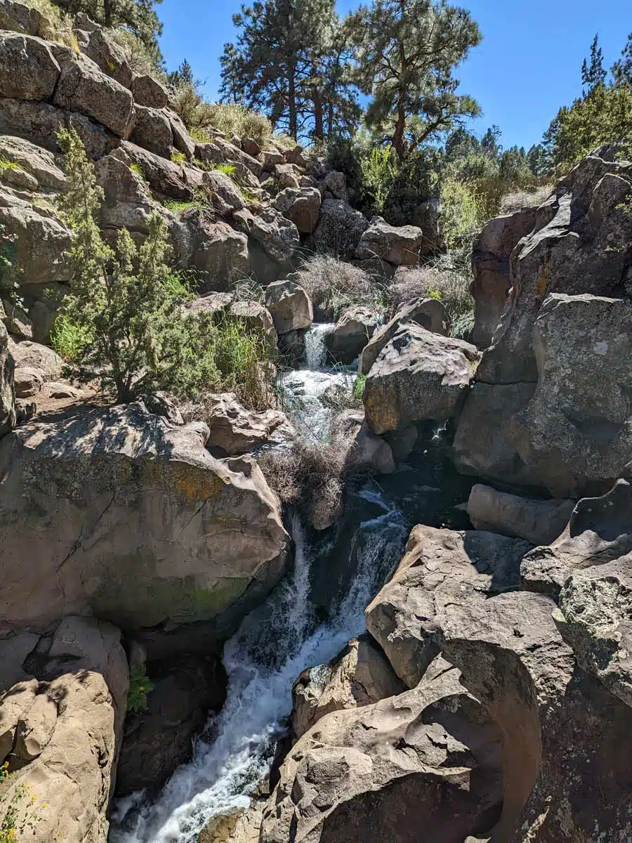 Picture Canyon Natural and Cultural Preserve