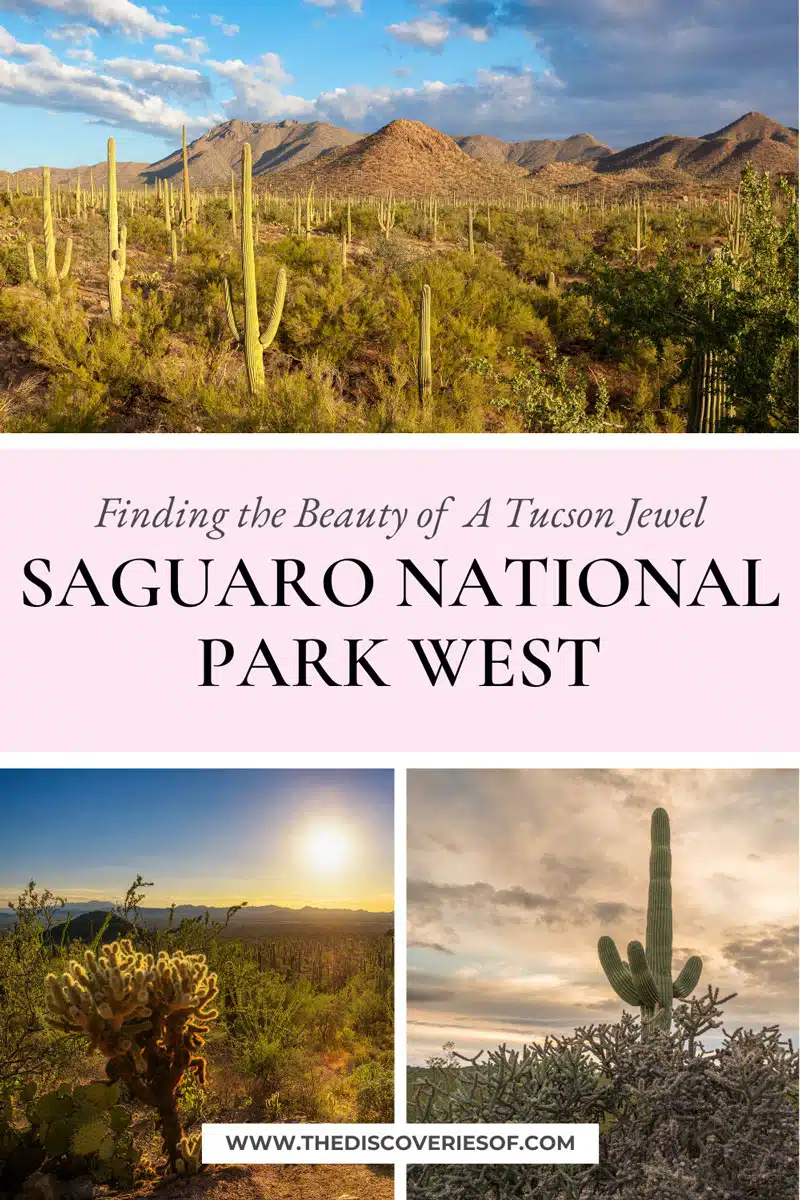 Saguaro National Park west