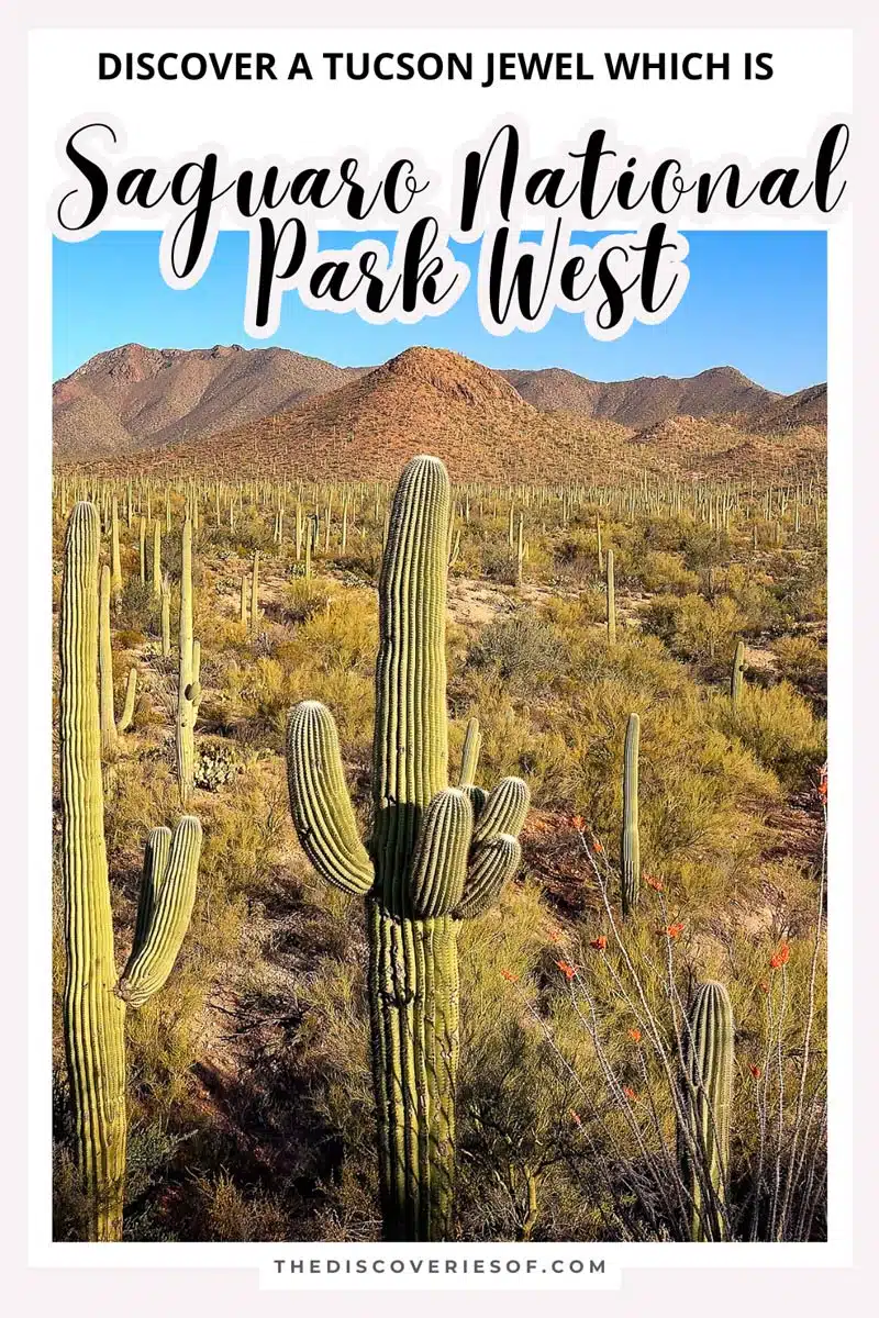 Saguaro National Park west