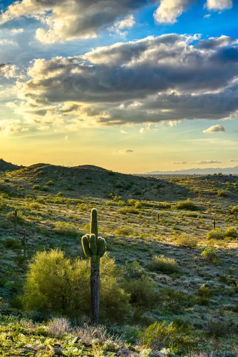 South Mountain Park Preserve Phoenix, AZ