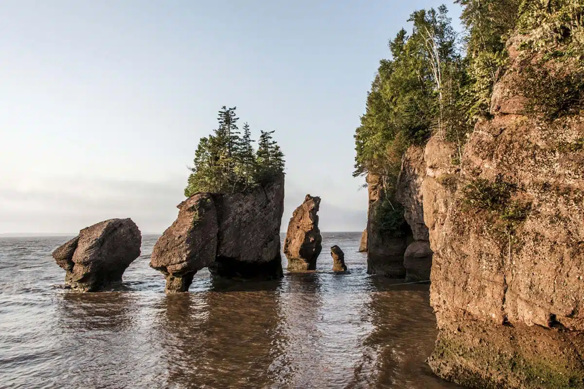 Bay of Fundy