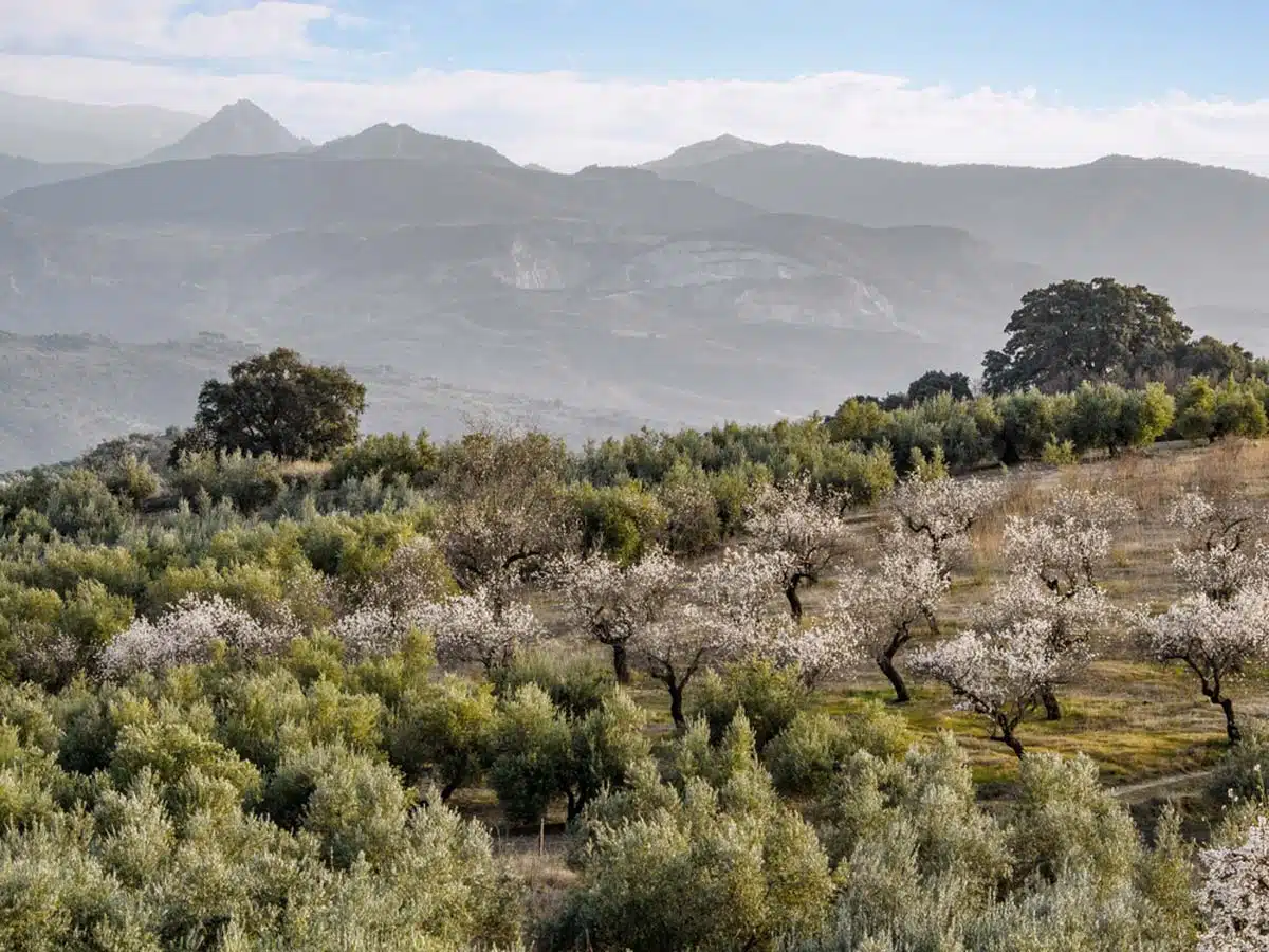 Beas de Granada