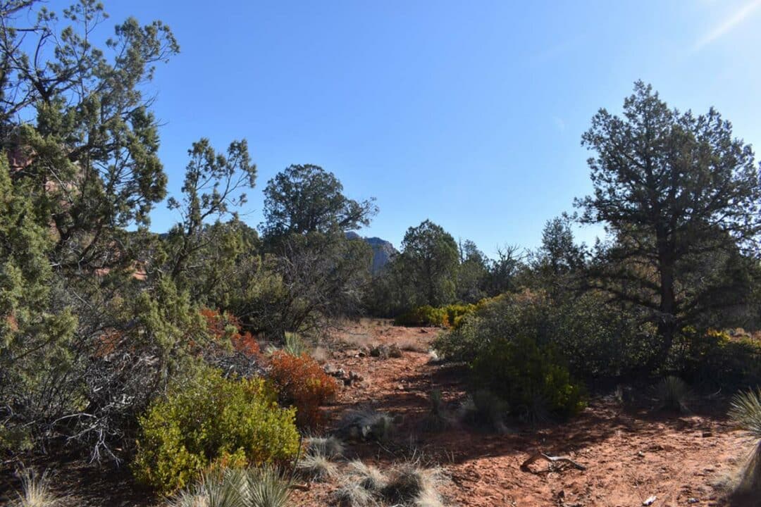 Hiking Bell Rock, Sedona Trail Guide — The Discoveries Of