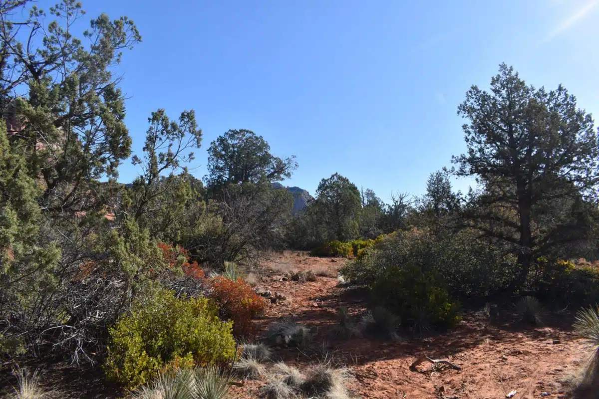 Bell Rock Trailhead in Sedona Arizona