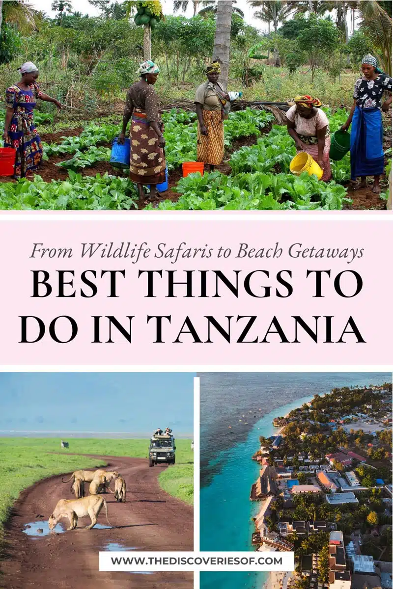 Best Things to do in Tanzania 