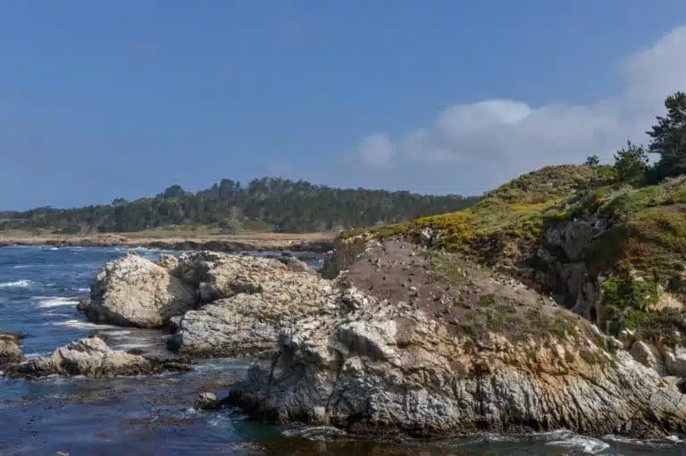 Stunning Hikes in Point Lobos: Trails to Help You Discover This Rugged State Park
