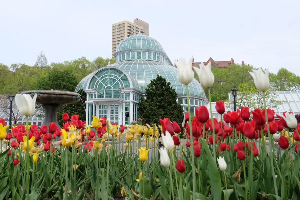 Brooklyn Botanic Garden